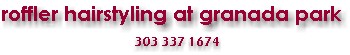 titlebar.jpg (6971 bytes)